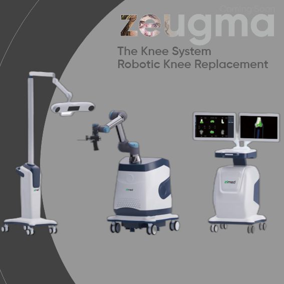 The Knee System  Robotic Knee Replacement